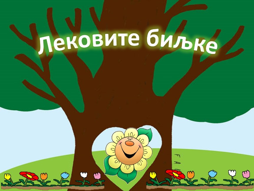 Lekovite biljke