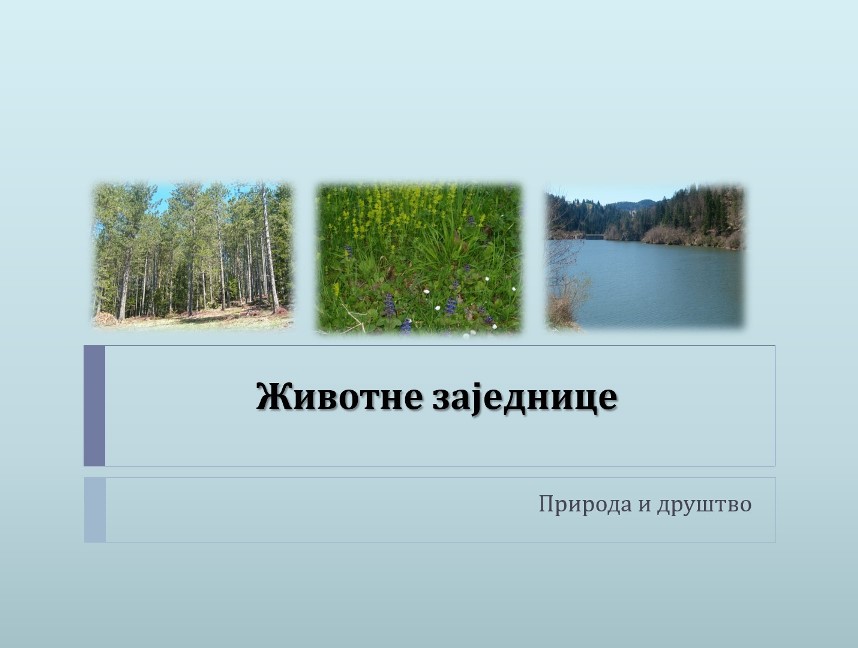 Životne zajednice